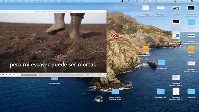 Día 2 Semana Internacional de la Sanidad Vegetal 🌱 смотреть онлайн