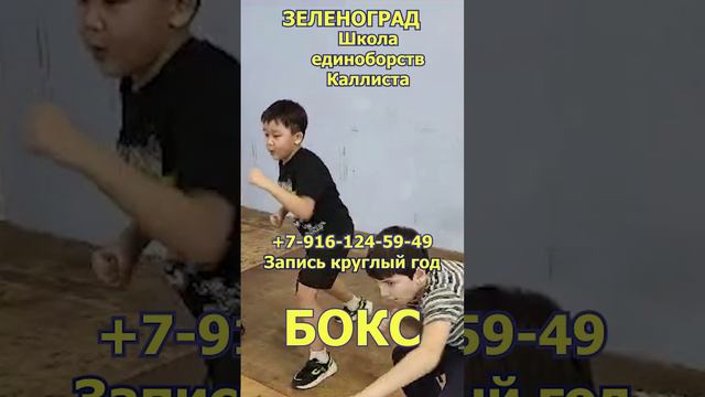 Зеленоград новости спорта. Школа бокса. Запись круглый год