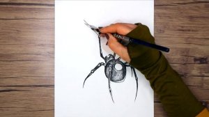 How to draw a realistic spider step by step | Spider Drawing Tutorial
