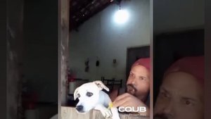 подбор лучших приколов часть 2