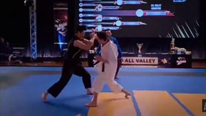 кобра кай/ястреб против кайлера