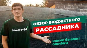 Обзор бюджетного рассадника для выращивания клубники. Ошибки при постройке