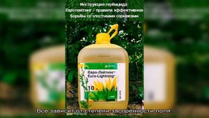 Инструкция гербицида Евролайтинг – правила эффективной борьбы со злостными сорняками