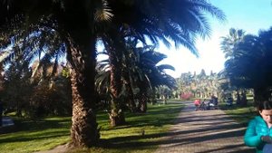 Сочи в ноябре