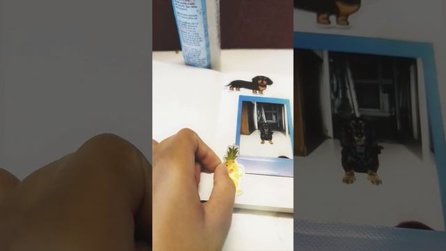 poloroid picture scrapbooking смотреть онлайн