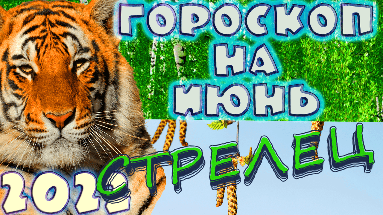 СТРЕЛЕЦ ♐ - ГОРОСКОП НА ИЮНЬ 2️⃣0️⃣2️⃣2️⃣ от астролога Таши Игошиной и водяного Тигра