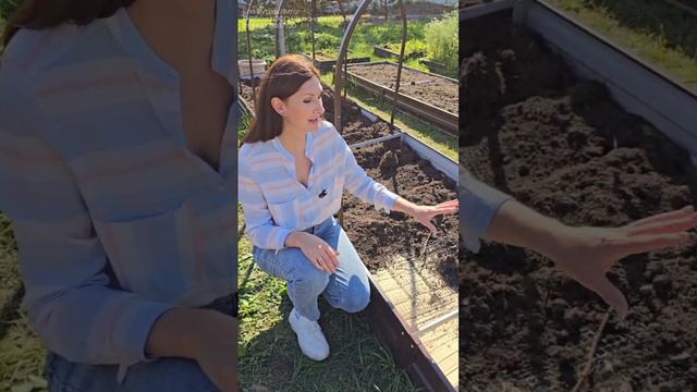 Чем наполнить грядки осенью