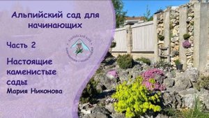АЛЬПИЙСКИЙ САД ДЛЯ НАЧИНАЮЩИХ. ЧАСТЬ 2. НАСТОЯЩИЕ КАМЕНИСТЫЕ САДЫ
