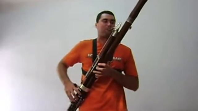 Concierto en E menor para Fagot A Vivaldi 3er mov смотреть онлайн