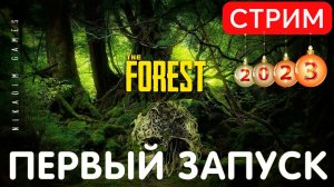 The FOREST: ПЕРВЫЙ ЗАПУСК