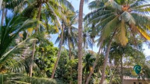 Апартаменты в 250м от пляжа без волн в Хиккадуве | Аренда жилья на Шри-Ланке Hikka.ru