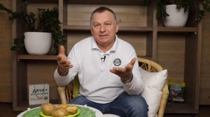 Эффективные способы защиты картофеля от проволочника