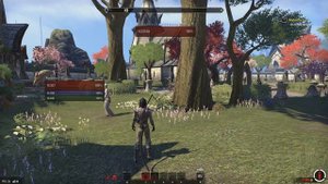 The Elder Scrolls Online - Карманная кража - Гайд: как заработать денег в teso (Воровство)