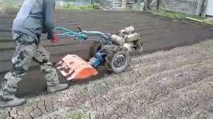 Вспашка мтз 012 и фреза мотоблока кутаиси с увеличенным ножами