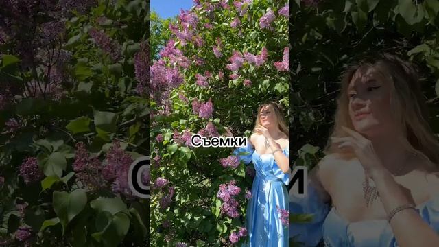 У меня есть три зависимости… смотреть онлайн