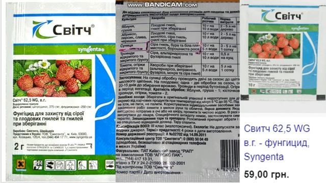 Белая и бурая пятнистость клубники. Выбираем препарат для лечения и предупреждения смотреть онлайн