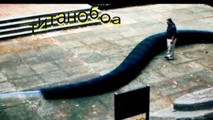 Доисторический океан Риты Воеводиной. Тизер программы.