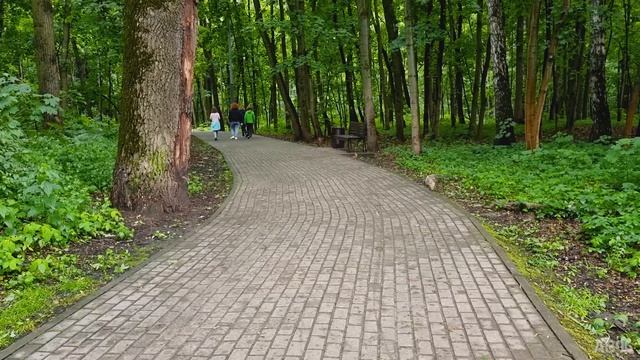 Белка в Филёвском парке