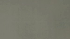 Охота на волка на вабу в Беларуси. Вышло 8 волков. Трофей добыт.