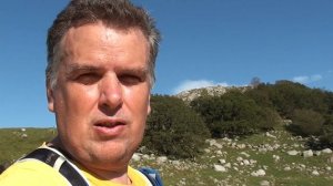 Ядовитые змеи Норвегии