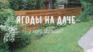 Ягоды на даче: у кого-то больше? Набор «Необычно»