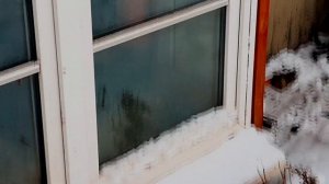 5 классных идей по благоустройству дачи своими руками