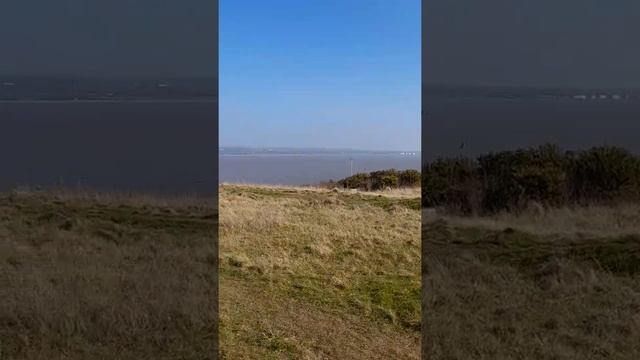 Riverside Port Sunlight Park.? смотреть онлайн