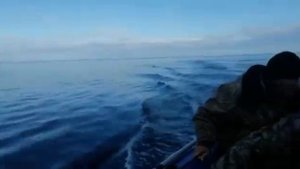 Косатка напала на лодку с рыбаками и чуть не потопила их.