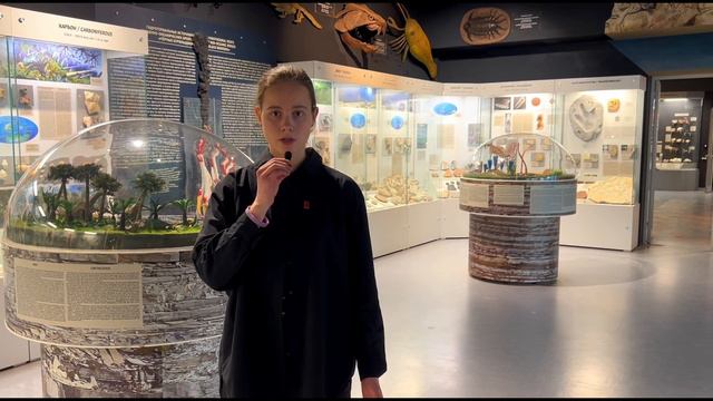 Видеовизитка на «МореМедиа"