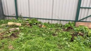 Сарай на даче ч1. Фундамент.