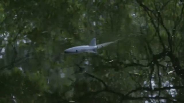 Радиоуправляемый робот Despot Shark смотреть онлайн