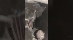 Установка вилки без снятия кпп на лада гранта (кпп рено)