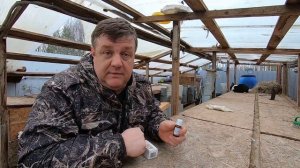 глисты у кроликов лечение