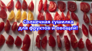 Солнечная сушилка для фруктов и овощей!