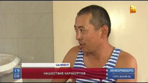 Каракурт укусил годовалого ребенка прямо в общественном парке
