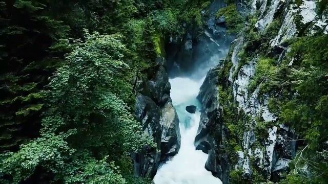 Relax Music, Sleep Music, Stress Relief Music, Spa, Meditation, Yoga , Sleeping Music смотреть онлайн