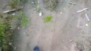 НИВА С ДВИГАТЕЛЕМ 1.6