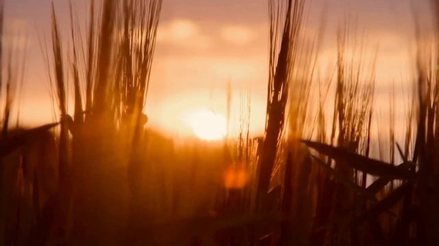 ? наигралась и СДАЛА в ДEТДОМ! Удивительная ИСТОРИЯ Зои Кукушкиной из ДEТСКOГО дома, которая стала. смотреть онлайн