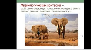 ГОТОВИМСЯ К ЕГЭ ПО БИОЛОГИИ-2020. ВИД, КРИТЕРИИ ВИДА