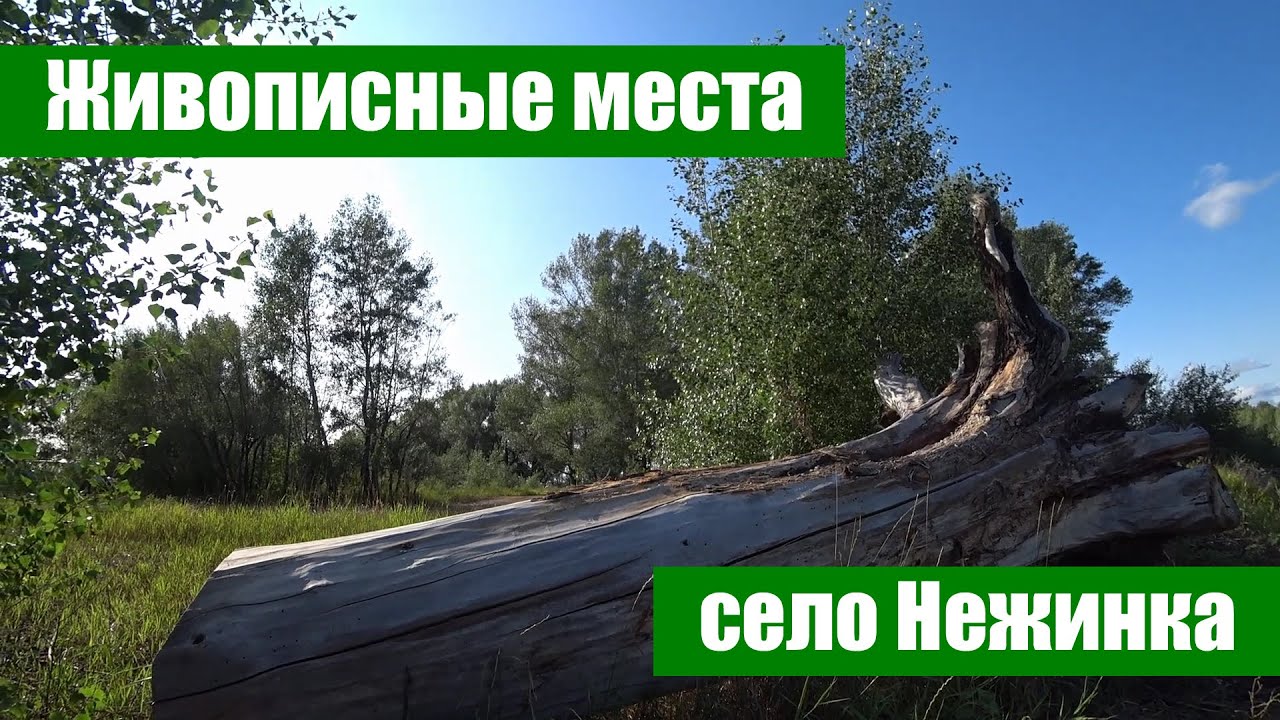 Живописные места села Нежинка Оренбургского района (10 км от Оренбурга)