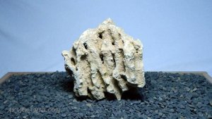 Песчаник для аквариума (Миотис, Ракушняк, Риф)