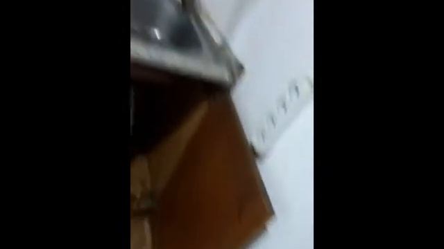 Огромное количество тараканов в квартире.