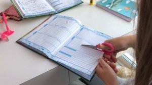 Лайфхак для школы - прячем замечание в дневнике :)