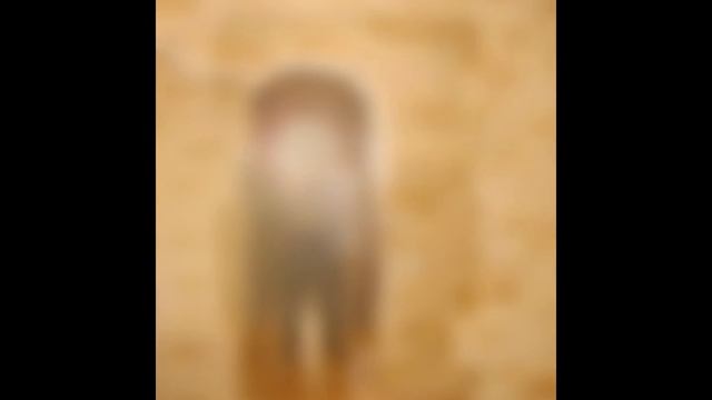 Декоративная художественная штукатурка в интерьере! Архив...2007-2008 смотреть онлайн