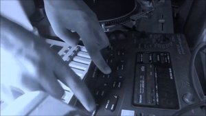 ZOOM ST 224