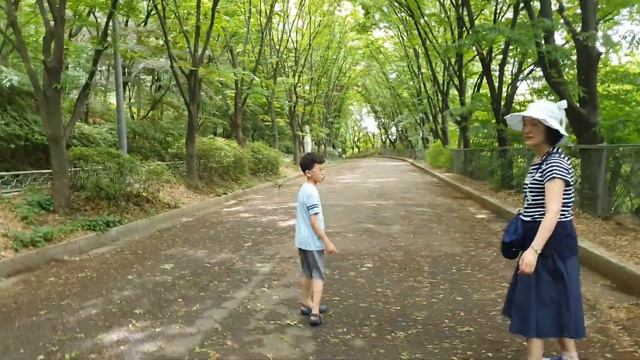 Seoul Korea Mountain Ansan 서울 안산 자락길을 걷다 смотреть онлайн