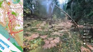 Спортивное ориентирование (headcam orienteering) - Марафон на холмах Яппиля 2022, Зеркальное - 25.0