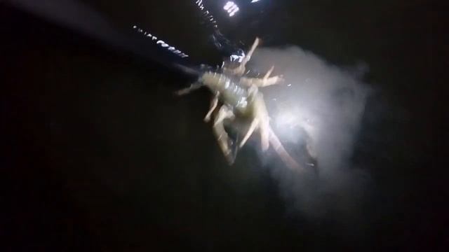 Ловля раков палкой хваталкой 2 смотреть онлайн