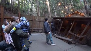 Гравитационная аномалия в США - Mystery Spot Santa Cruz California