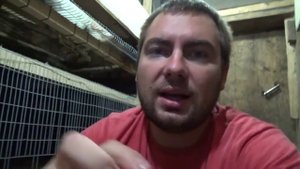 Клеточное содержание кур Ошибки при строительстве клеток